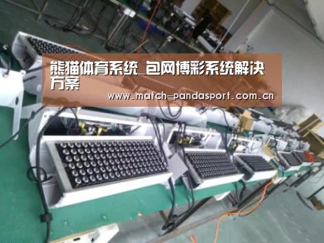 熊猫体育案例展示一(图1)