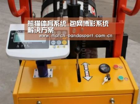 熊猫体育案例展示三(图1)