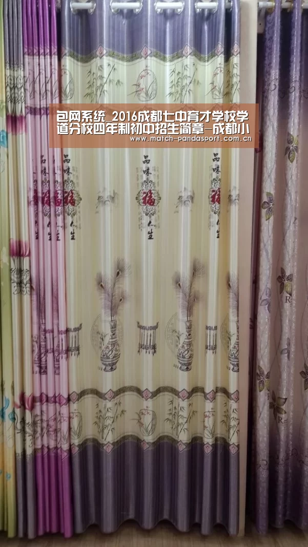 熊猫体育平台