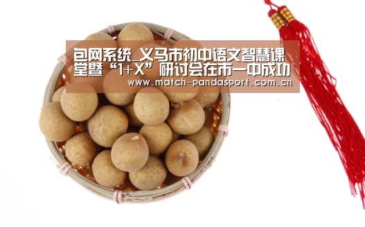 包网系统_义马市初中语文智慧课堂暨“1+X”研讨会在市一中成功举行(图2) 熊猫体育