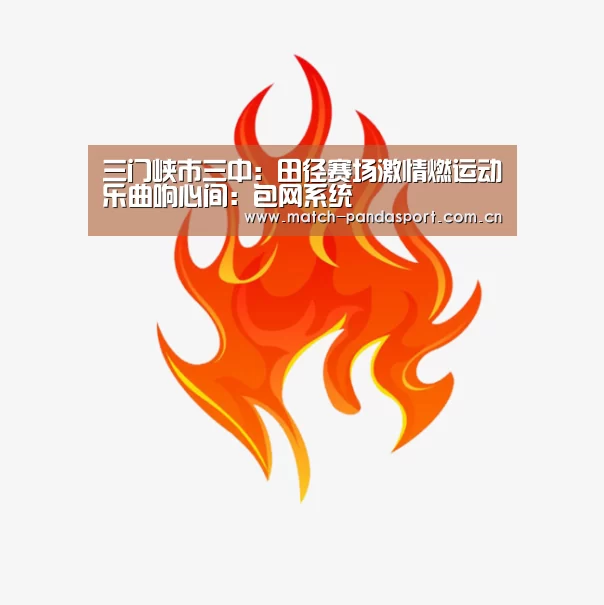 包网系统