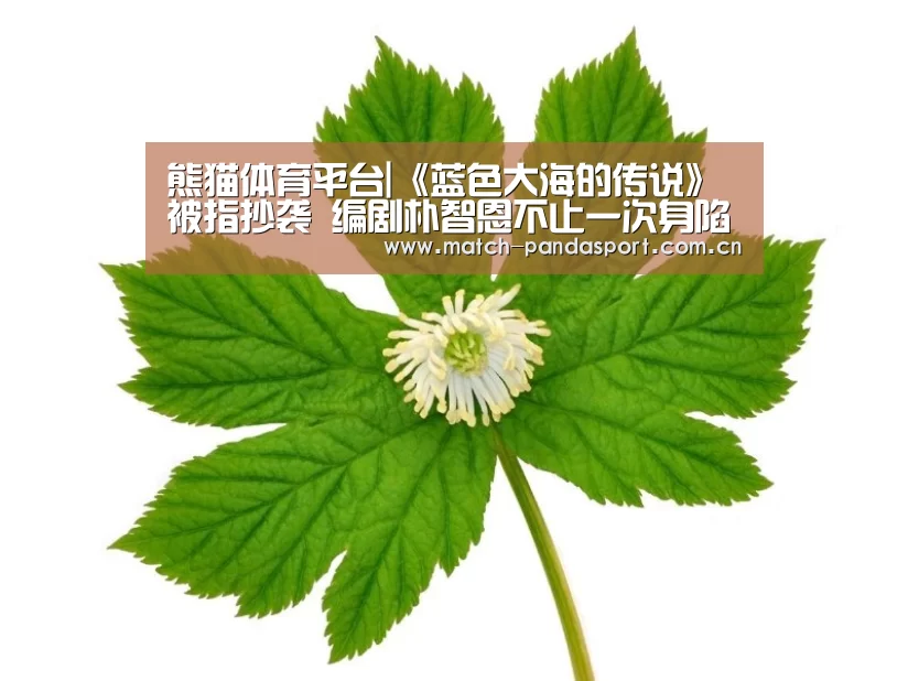 体育API